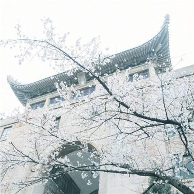 古典与爵士的碰撞——2024北京长城音乐会绽放光彩